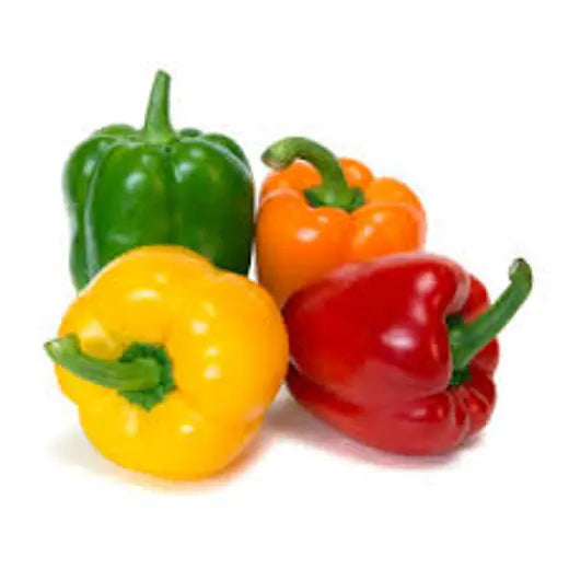 فلفل بارد كويتي Kuwaiti Bell pepper