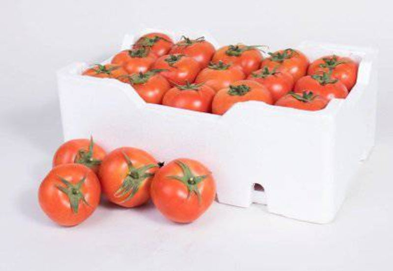 Kuwaiti tomato طماط كويتي