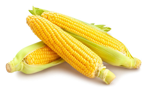 ذرة كويتية سكري Kuwaiti sweet corn