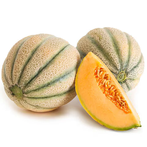 شمام كويتي Kuwaiti Melon
